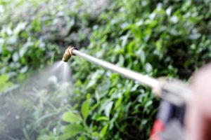Paraquat Lawyer in Connecticut