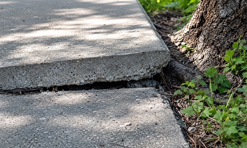 Can You Sue a Company If You Fall on Their Property? Legal Options Explored