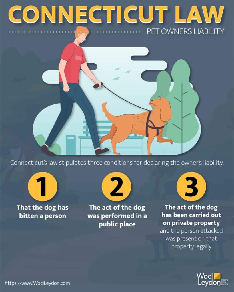 Bridgeport Dog Bite Lawyer | Experienced Legal Help for Animal Attacks